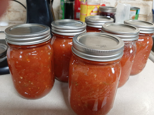 Salsa 16oz Jar